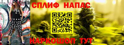 прущие грибы Новодвинск