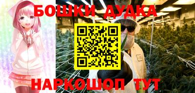 прущие грибы Новодвинск
