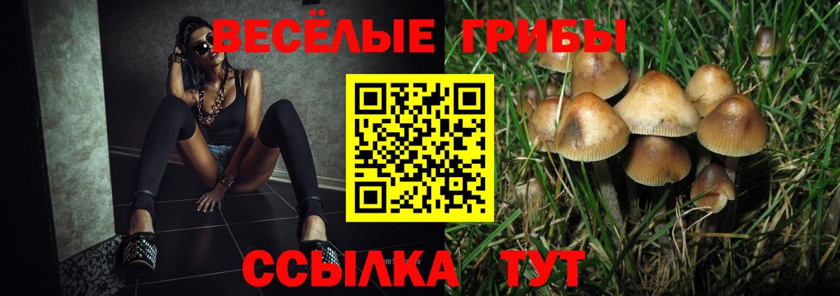 Псилоцибиновые грибы мухоморы Семилуки