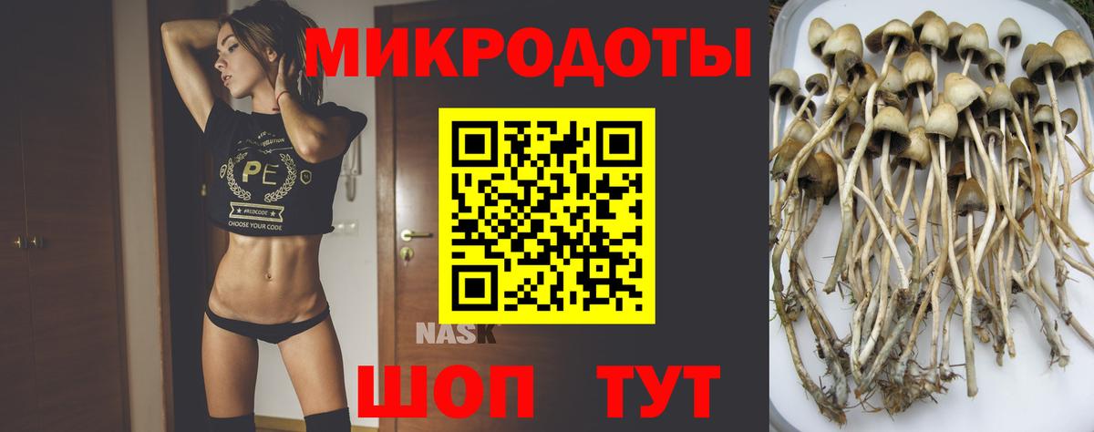 Семилуки  Галлюциногенные грибы мицелий  Вход с VPN 