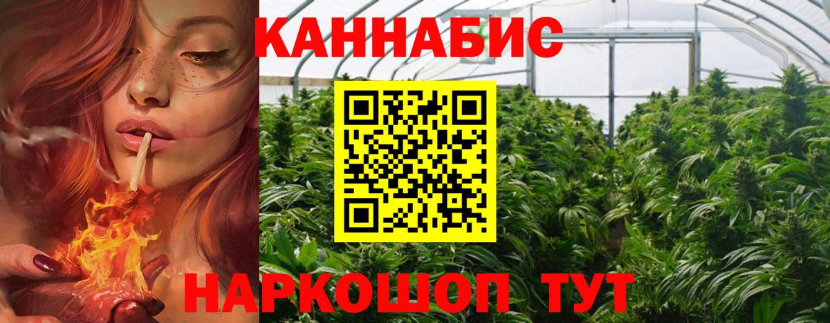 Каннабис OG Kush Семилуки